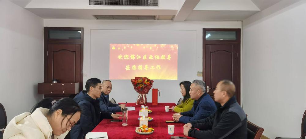锦江区政协领导到公司调研指导工作