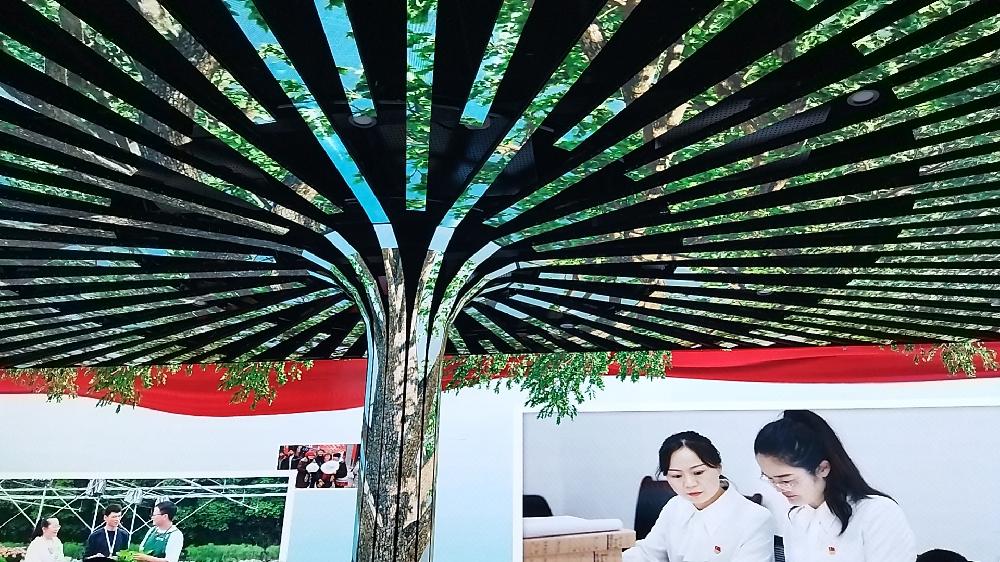 /attached/image/20251104/